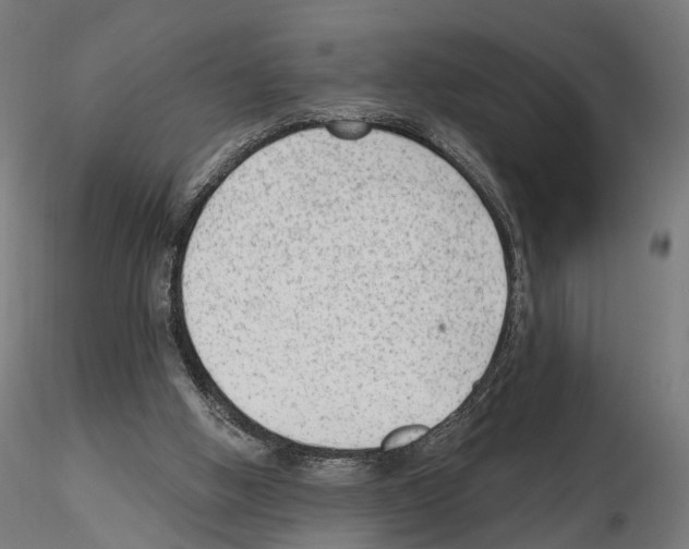 X0000114690058200912021054