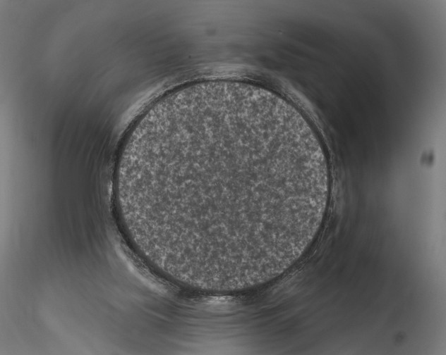X0000114690059200912021054