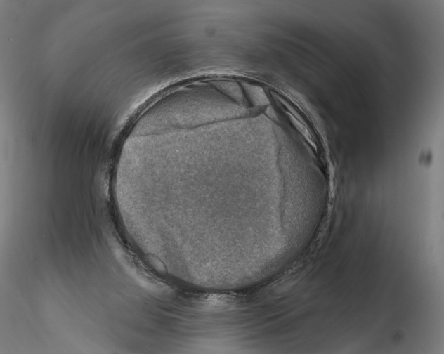 X0000114690060200912021054