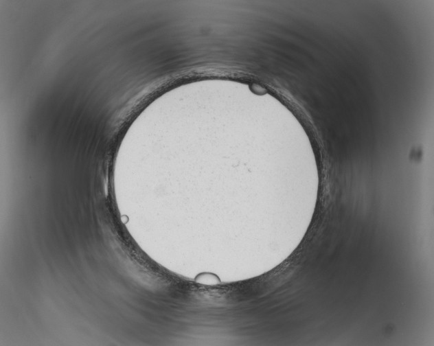 X0000114690062200912021055