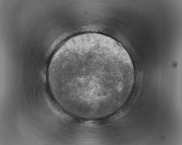 X0000114690064200912021055