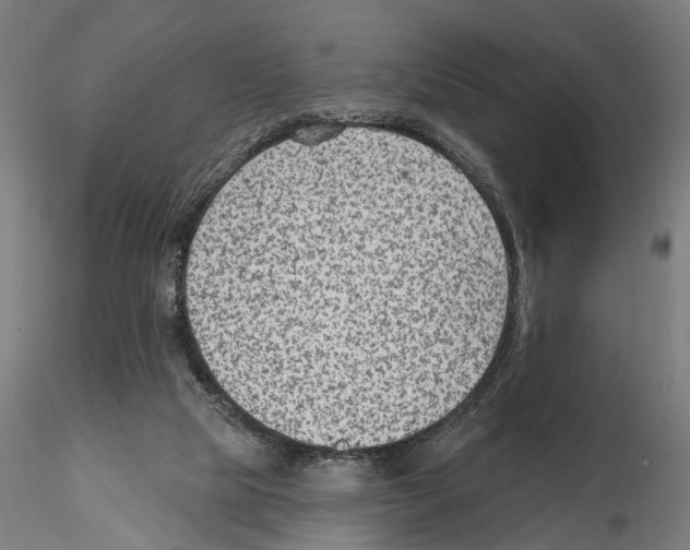 X0000114690065200912021055