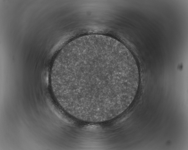 X0000114690067200912021055