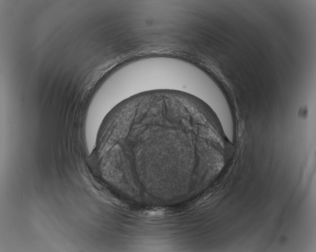 X0000114690068200912021055