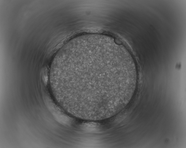 X0000114690069200912021055
