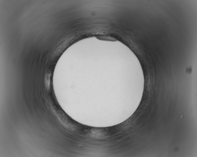 X0000114690070200912021055