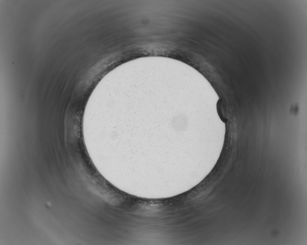 X0000114690071200912021055