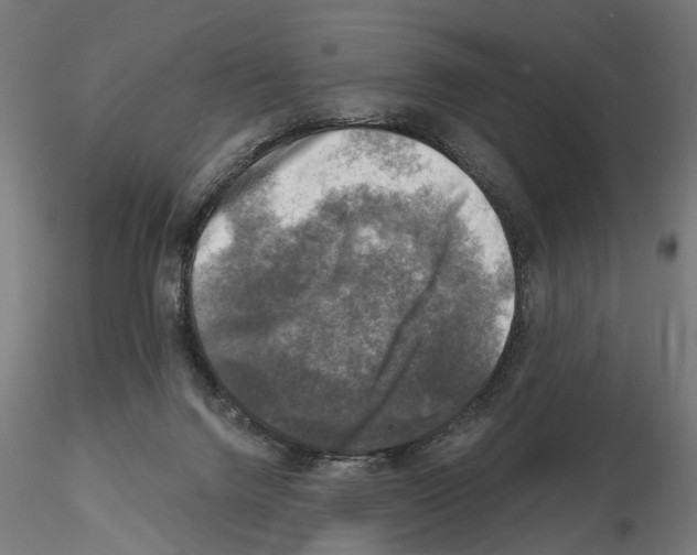 X0000114690072200912021055