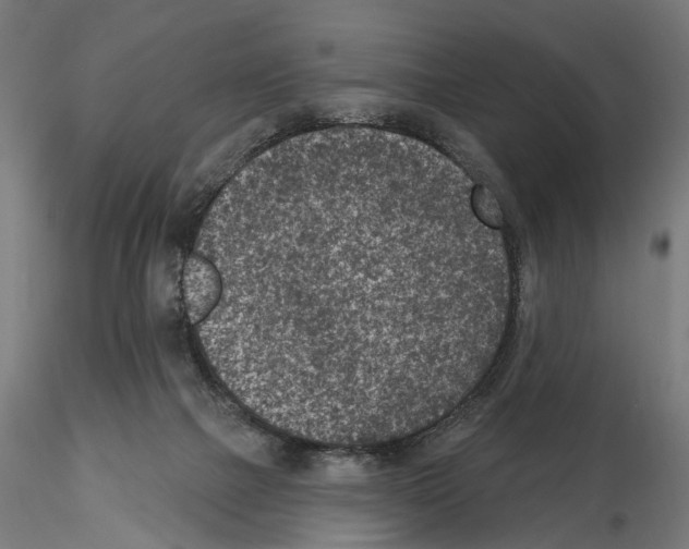 X0000114690073200912021055