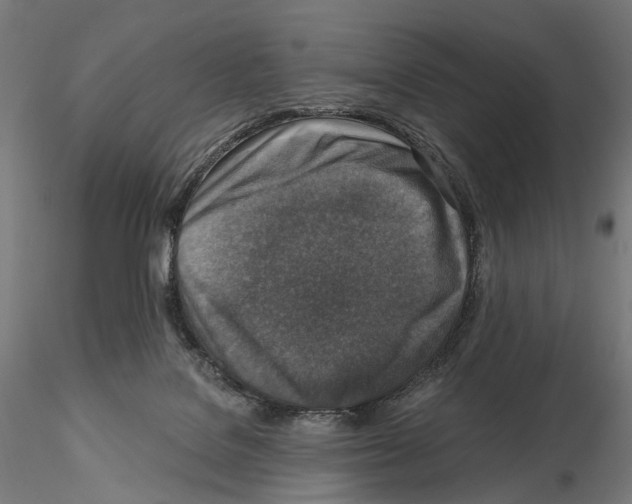 X0000114690076200912021055