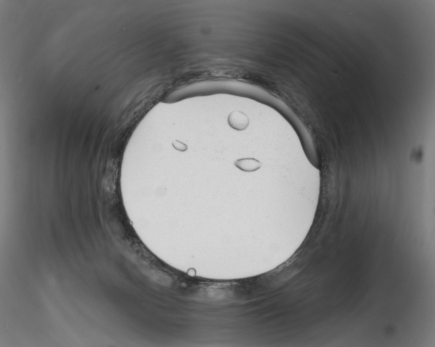 X0000114690078200912021055
