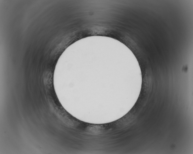 X0000114690079200912021055