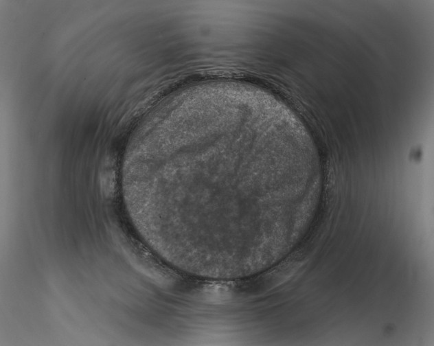 X0000114690080200912021055