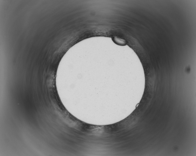 X0000114690083200912021055