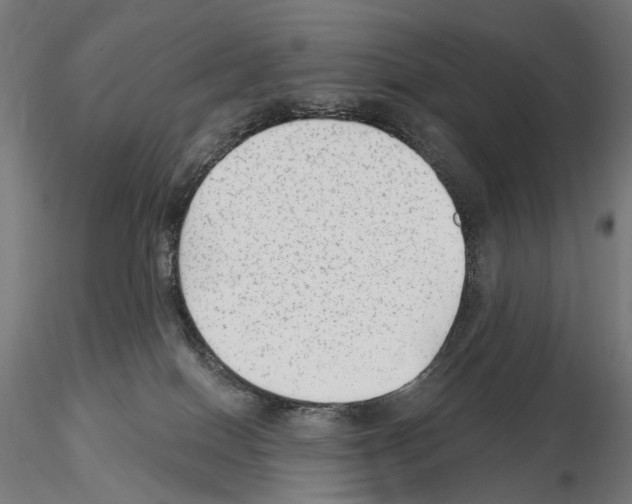 X0000114690086200912021055