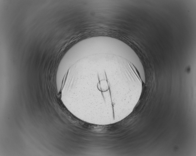 X0000114690088200912021055
