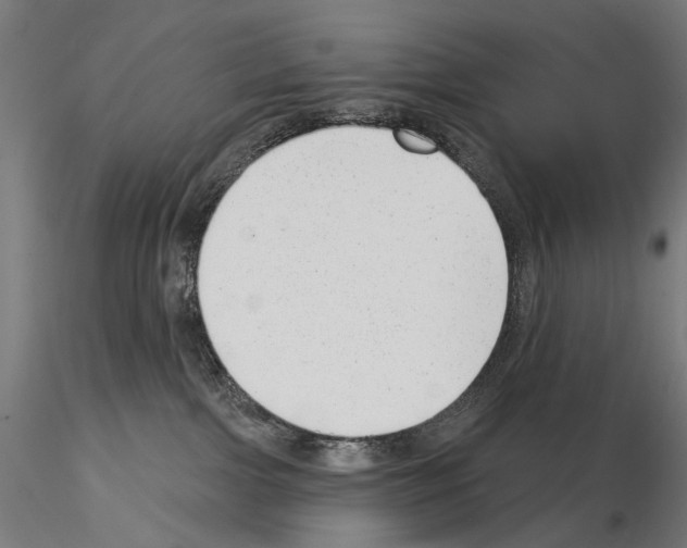 X0000114690091200912021055