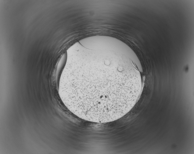 X0000114690092200912021055