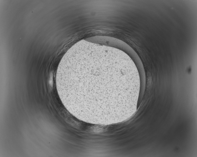 X0000114690094200912021055
