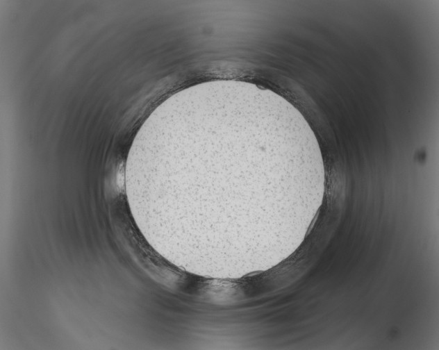 X0000114690095200912021055