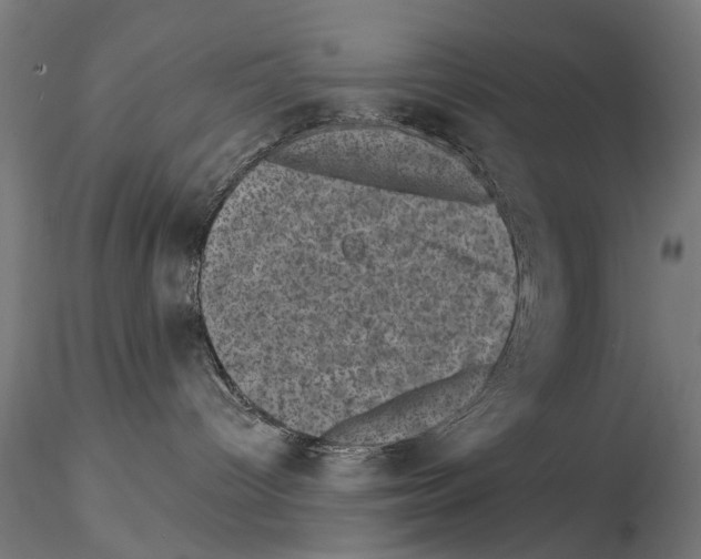 X0000114690096200912021055