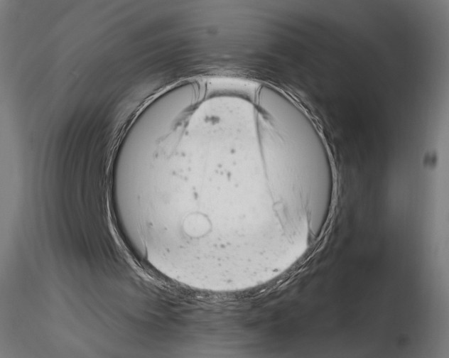 X0000114690097200912021054