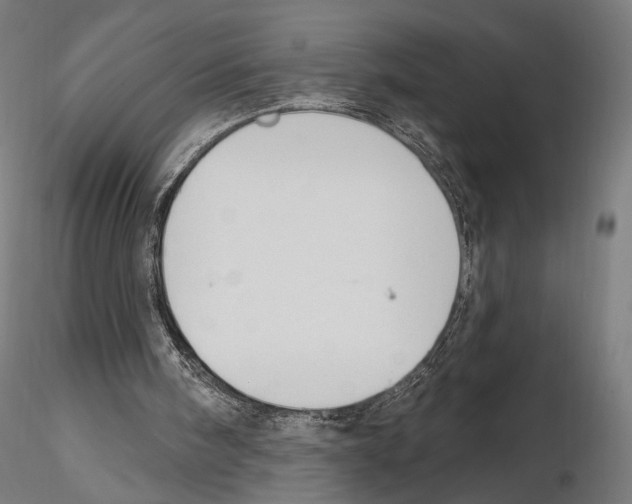 X0000114690098200912021054