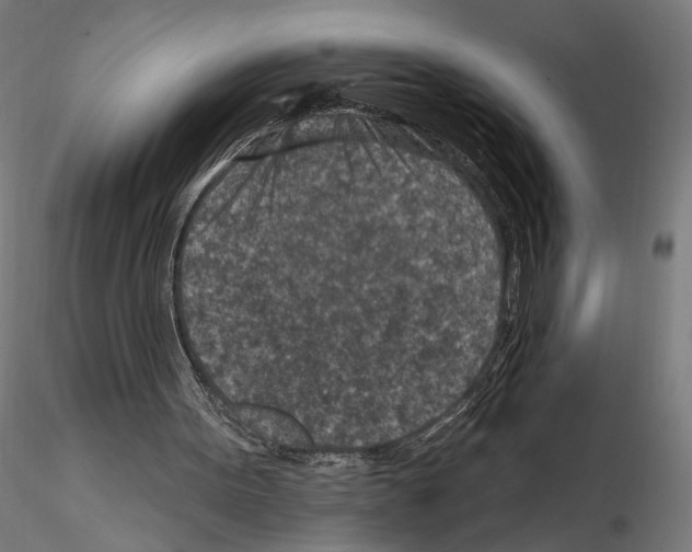 X0000114690099200912021054
