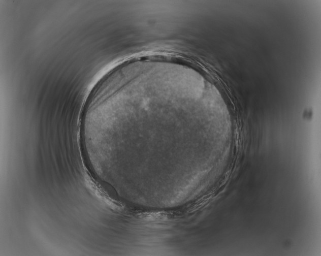 X0000114690100200912021054