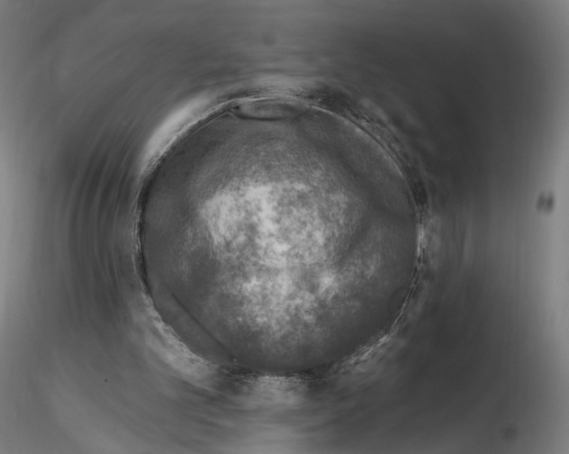 X0000114690101200912021054