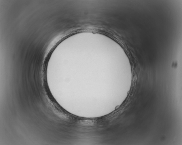 X0000114690102200912021054
