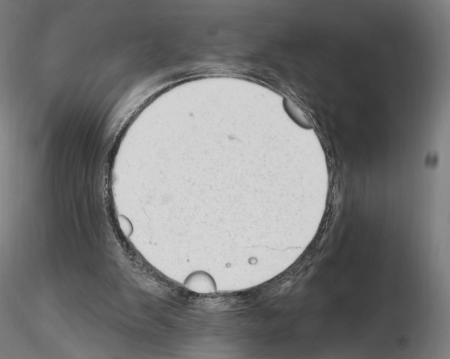 X0000114690103200912021054
