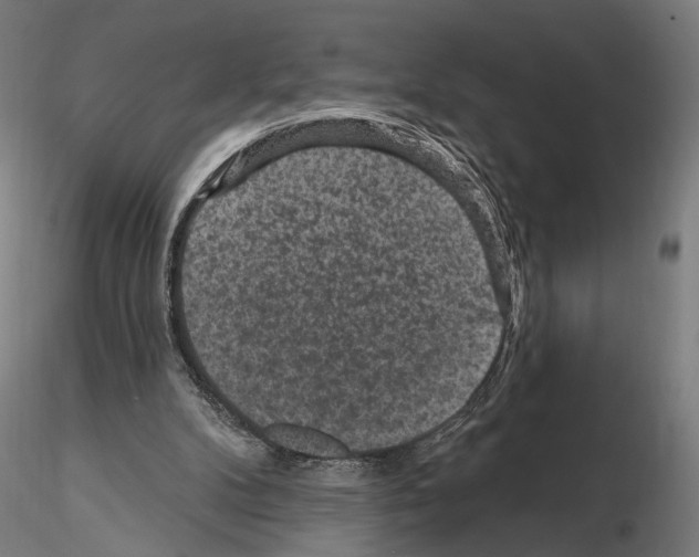 X0000114690104200912021054