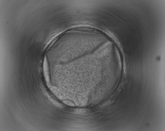 X0000114690105200912021054