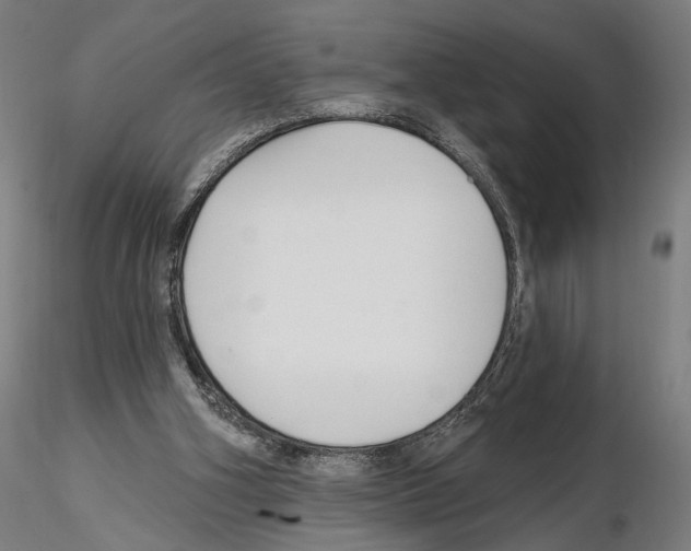 X0000114690106200912021054