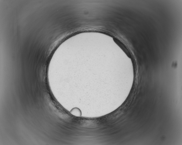 X0000114690107200912021054