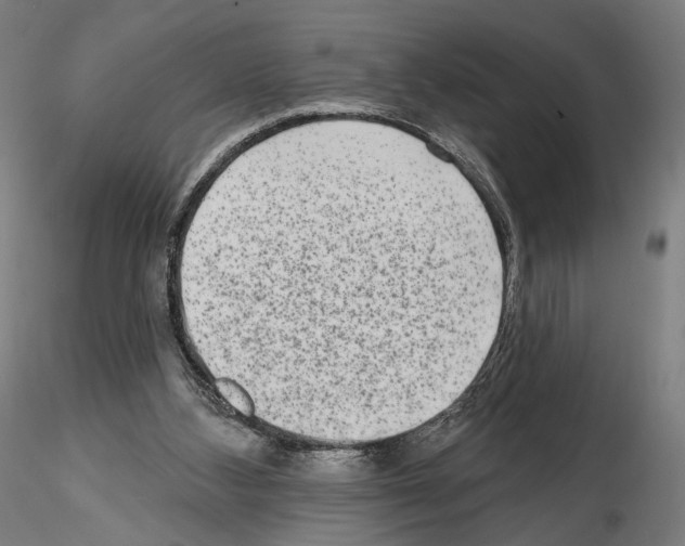 X0000114690108200912021054