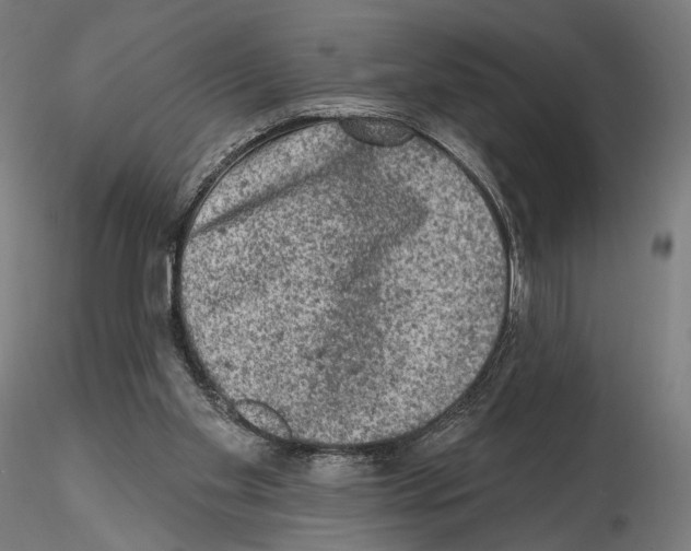 X0000114690109200912021054