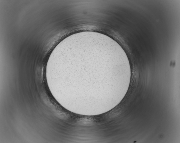 X0000114690110200912021054
