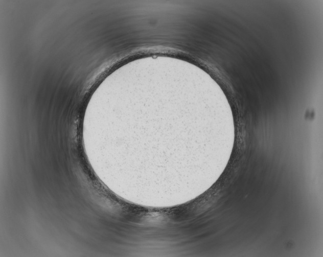 X0000114690111200912021054