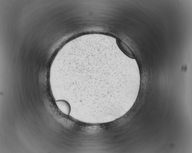 X0000114690112200912021054