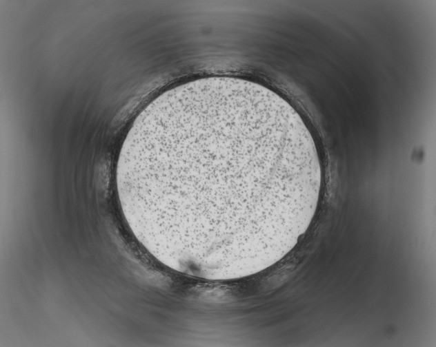 X0000114690113200912021054