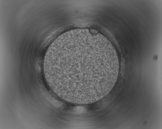 X0000114690114200912021054