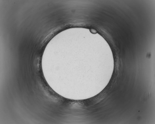 X0000114690115200912021054
