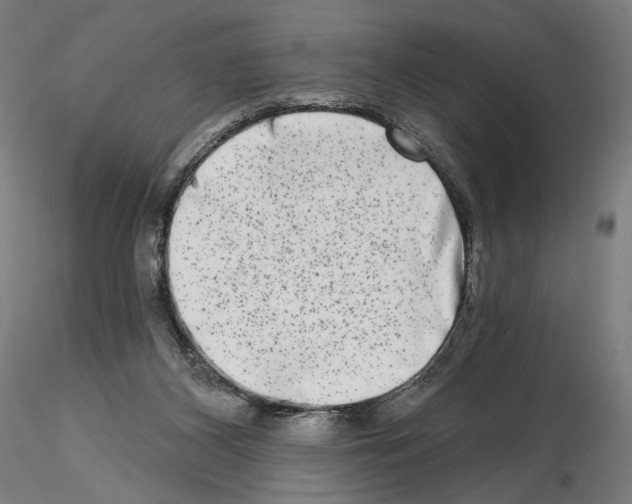 X0000114690116200912021054