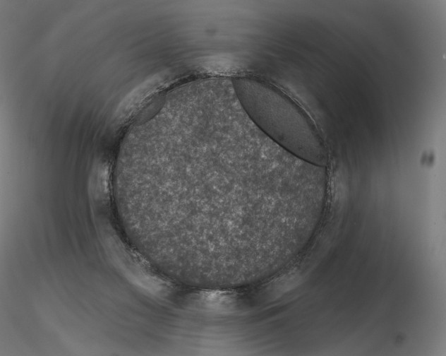 X0000114690117200912021054