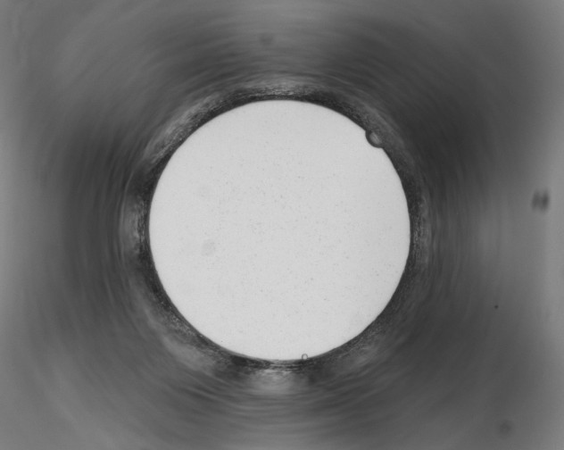 X0000114690119200912021054