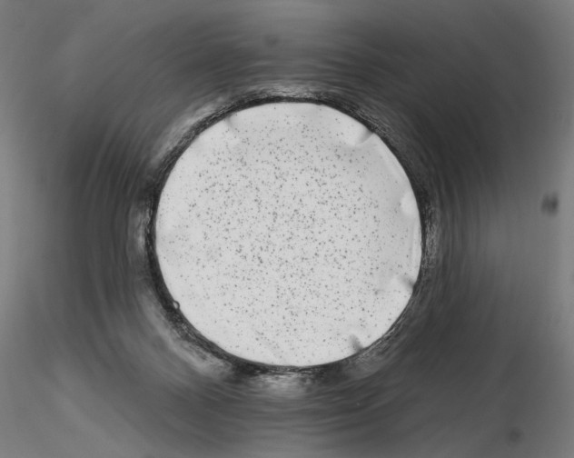 X0000114690120200912021054