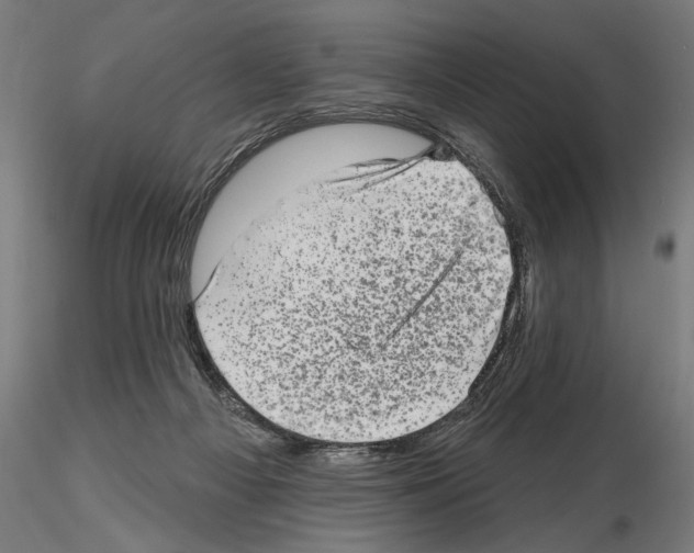 X0000114690121200912021054