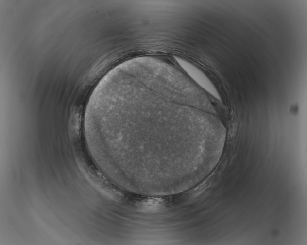 X0000114690124200912021054